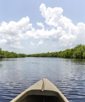 Kayaking in Everglades national park, USA