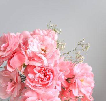 Pink roses on gray background. Perfect for background greeting cards and invitations of the wedding, birthday, Valentine's Day, Mother's Day