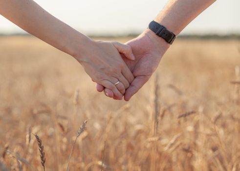 Love concept. A couple holding hand during sunset, a symbol of love and happy relationship. A young couple in love walks through a Wheat field at sunset, holding hands and looking at the sunset