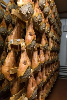 BOLOGNA, ITALY. May 02, 2018: Sorage of prosciutto in a ham factory in Bologna, Italy