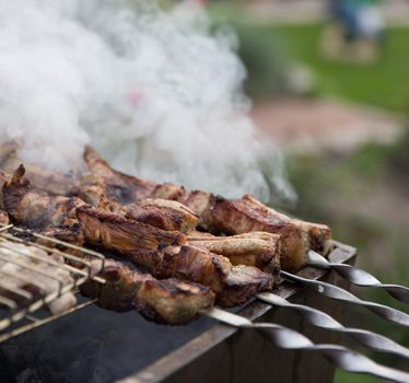 Meat roasted on skewers with smoke in a garden
