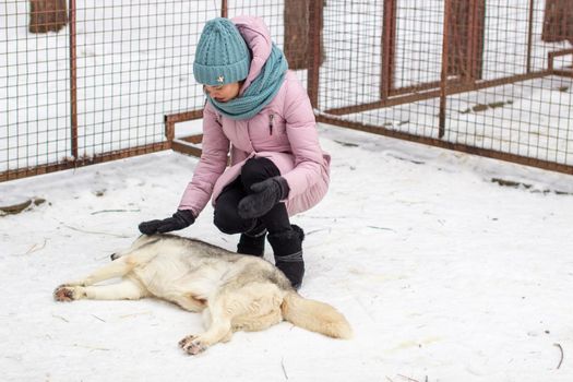 A girl strokes a Siberian Husky dog, which lies on the snow and is kept in a kennel, in an aviary.