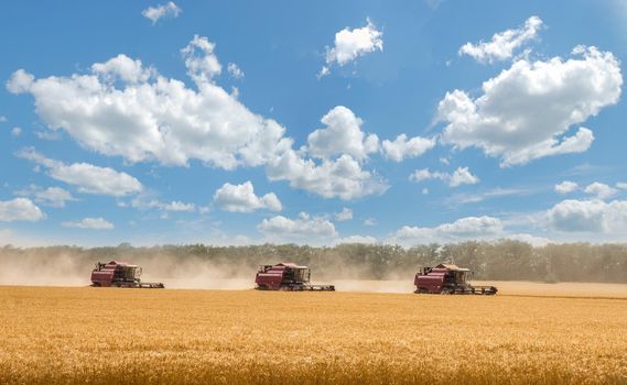 Combine harvester harvesting wheat on sunny summer day