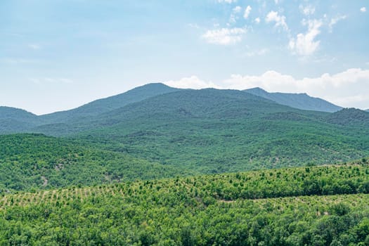 mountains in the greenery view from the air. High quality photo