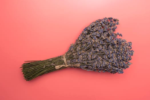 a bouquet of lavender flowers on a pink background. High quality photo