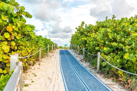 Pathway to the beach in Miami Florida with an ocean background