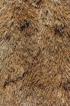 Decorative animal  fur as a background texture