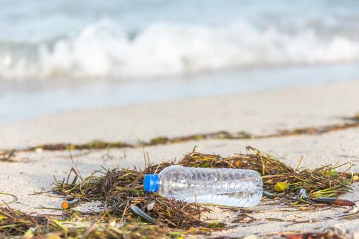 plastic bottle with cap washed up on a beach mixed with seaweed