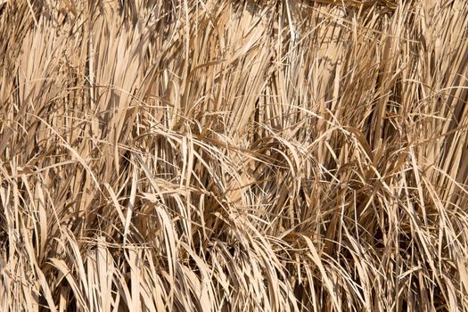 fence made of dry Straw, pattern background