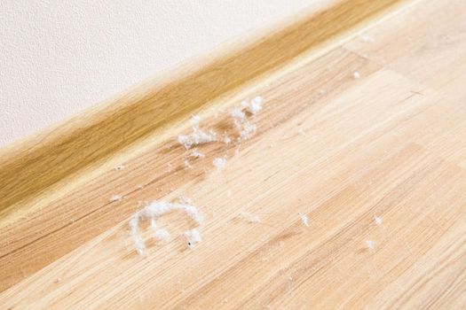 a lot of dust on a wooden floor
