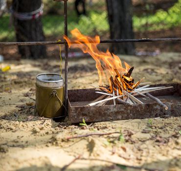 Campfire made by tourists in wood
