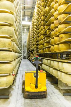 Parmigiano Cheese factory production shelves with aging cheese in Italy, Bologna