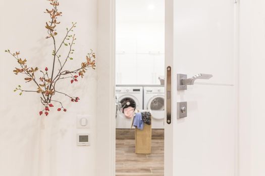 View through door to laundry room with basket and washing machine