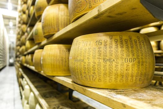 Parmigiano Cheese factory production shelves with aging cheese in Italy, Bologna