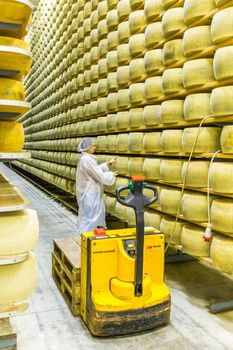 BOLOGNA , ITALY - MAY 02, 2018: Worker inspecting cheese in Parmigiano Cheese factory. Shelves with aging cheese in Italy, Bologna