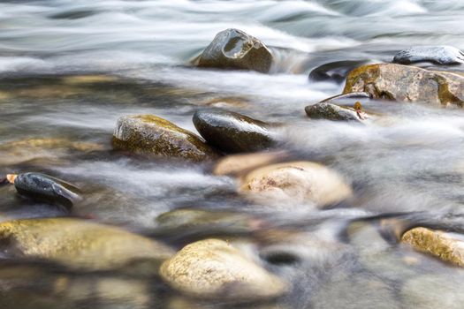 Mountain river in forest