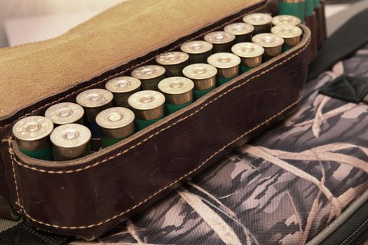 An old cartridge leather belt with shotgun shells