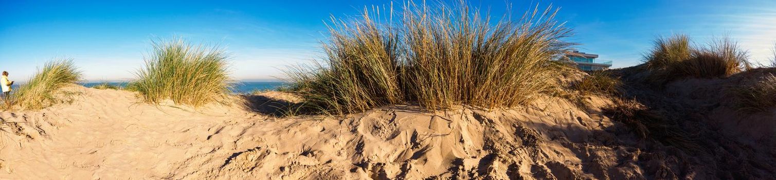 panorama of a sand dune at the beach of Koksijde  in Flanders in a warm autumnal light with a glimp of a building