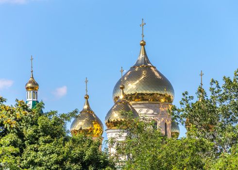 Golden dome of church, view through trees