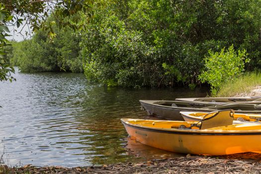 Kayaks prepared for paddling in mangrove tunnels in Everglades national park, Florida, USA