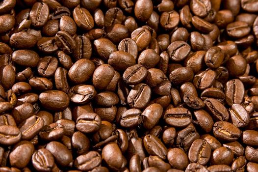 Brown coffee beans, closeup of coffee beans for background and texture