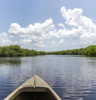 Kayaking in Everglades national park, USA