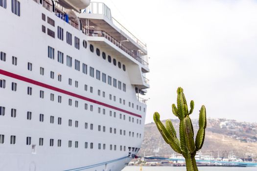 Cruise ship in Mexico Ensenada with cactus on foreground