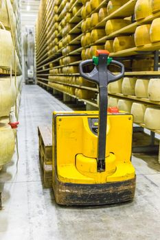 Parmigiano Cheese factory production shelves with aging cheese in Italy, Bologna