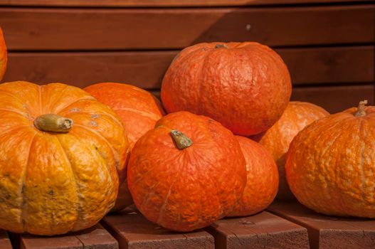 Autumn harvest. Ripe pumpkins on a wooden background. Thanksgiving and halloween concept. Copy space.