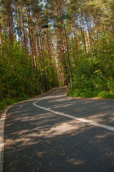 An asphalt road with markings runs through the forest in autumn day