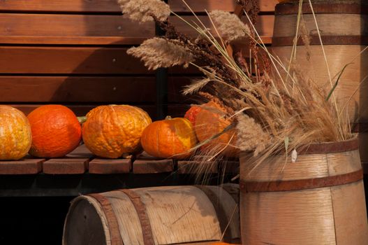 Autumn harvest. Ripe pumpkins on a wooden background. Thanksgiving and halloween concept. Copy space.