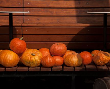 Autumn harvest. Ripe pumpkins on a wooden background. Thanksgiving and halloween concept. Copy space.