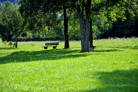 park bench in autumnal sun