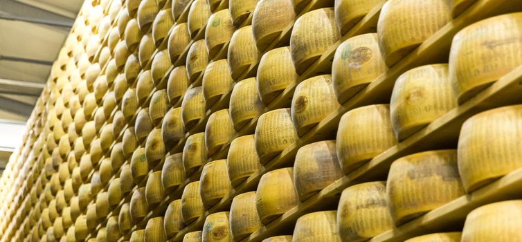 Parmigiano Cheese factory production shelves with aging cheese in Italy, Bologna