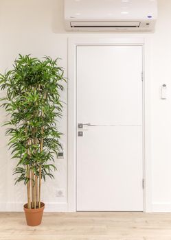 White door in modern home with green tree