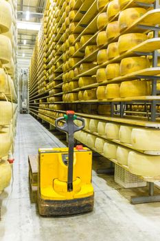 Parmigiano Cheese factory production shelves with aging cheese in Italy, Bologna