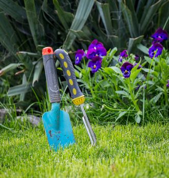 Some garden tools on a green tool