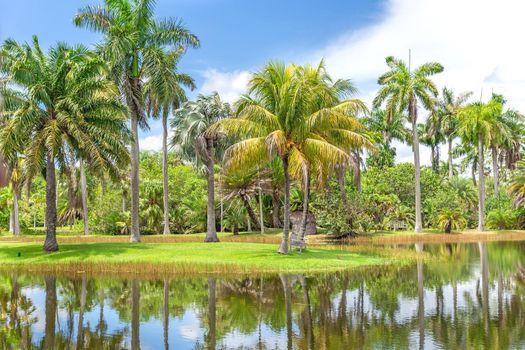Fairchild tropical botanical garden, Miami, FL, USA. Beautiful palm trees with reflection in lake
