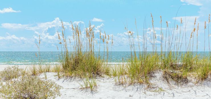 sunny St. Pete beach with sand dunes and blue sky in Florida
