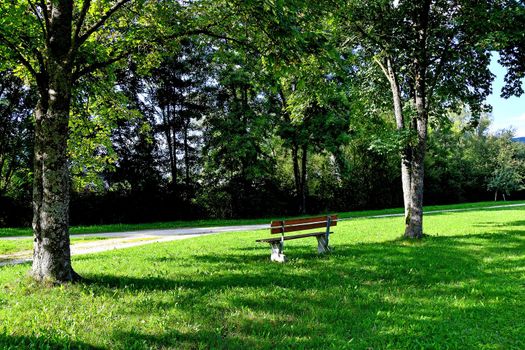 park bench in autumnal sun