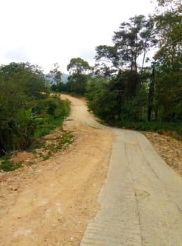 Rough road in the jungle of Asia. The countryside of Thailand.