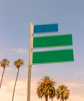 Empty road signs with palms and blue sky with copyspace