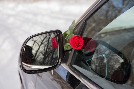 beautiful red rose and black car, surprise for a loved one