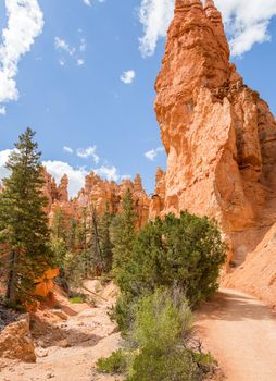 Bryce canyon national park, Utah, USA