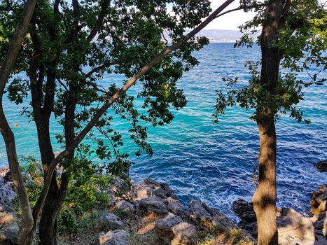 Leaved trees and a blue sea in a background