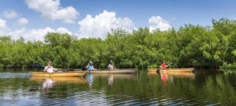 EVERGLADES, FLORIDA, USA - AUGUST 31: Tourists kayaking on August 31, 2014 in Everglades, Florida, USA.