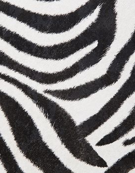 zebra background, black and white stripes, coloured wall