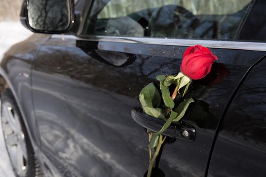 beautiful red rose and black car, surprise for a loved one