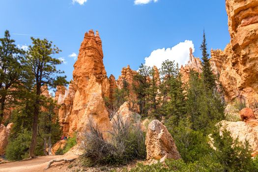 Bryce canyon national park, Utah, USA