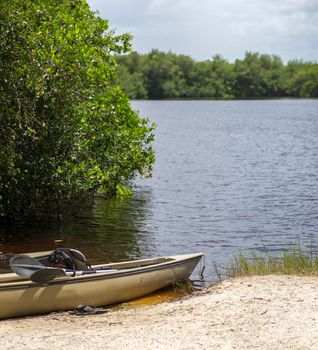 Kayaks prepared for paddling in mangrove tunnels in Everglades national park, Florida, USA